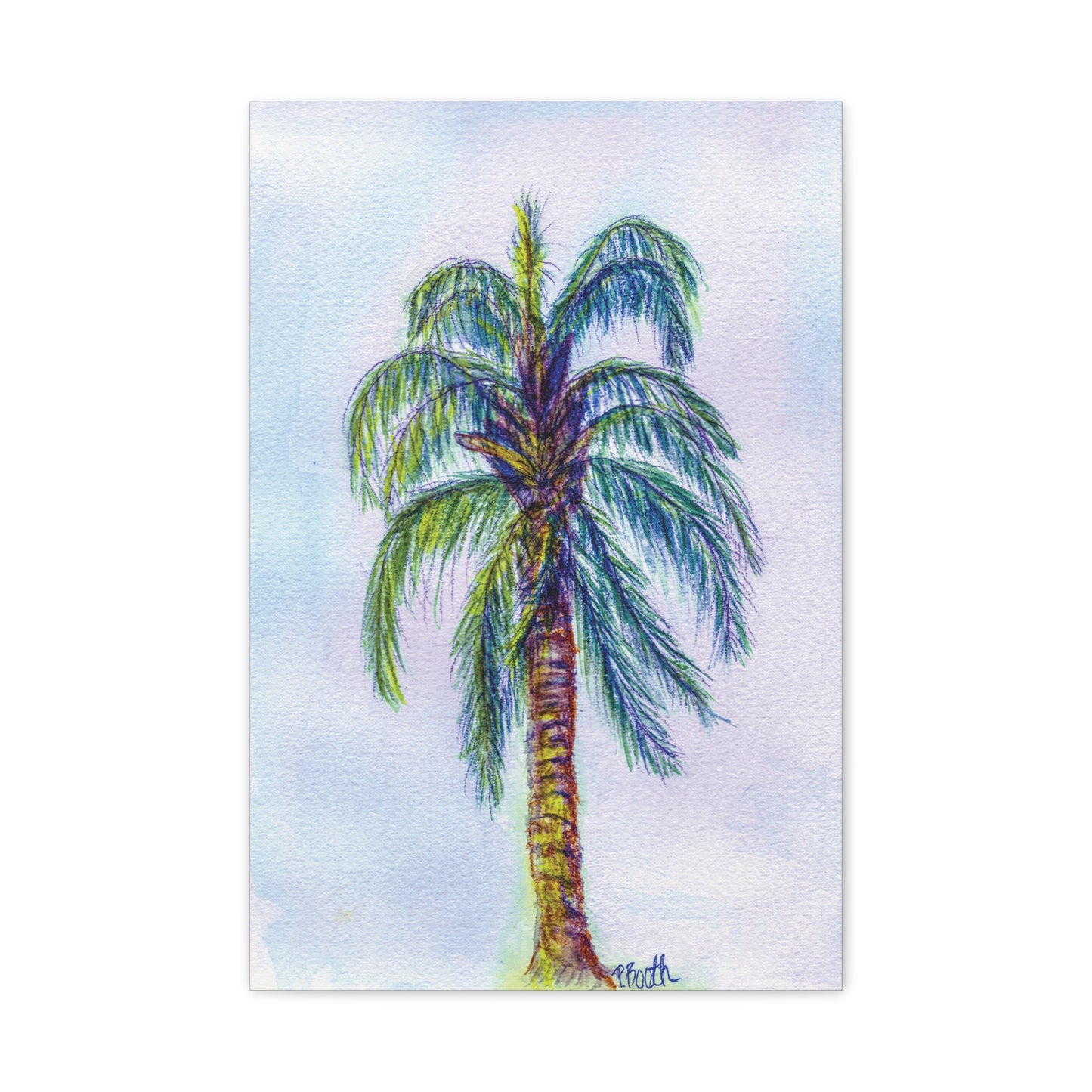 Hand Painted Watercolor Queen Palm Signed Matte Canvas, Stretched, 1.25"