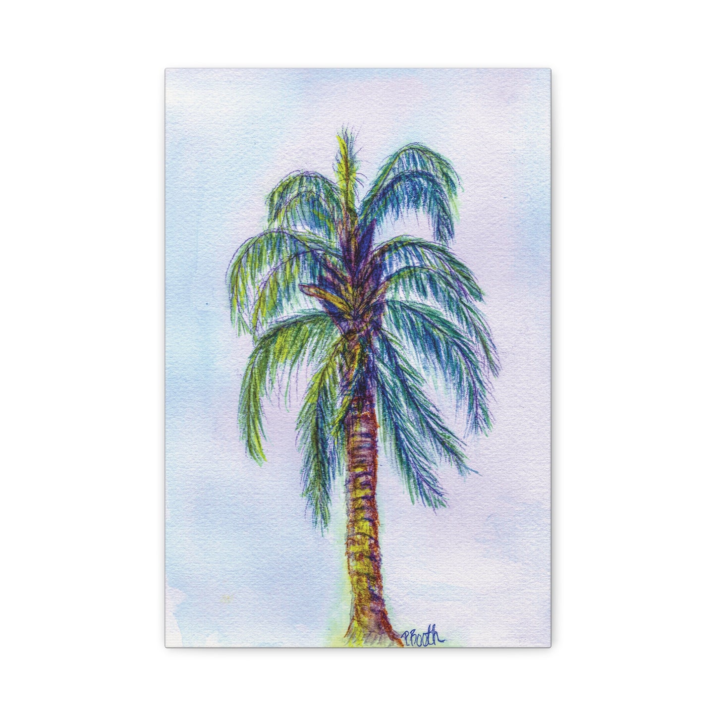 Hand Painted Watercolor Queen Palm Signed Matte Canvas, Stretched, 1.25"