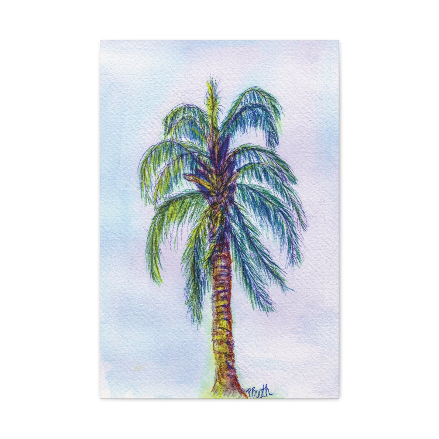 Hand Painted Watercolor Queen Palm Signed Matte Canvas, Stretched, 1.25"