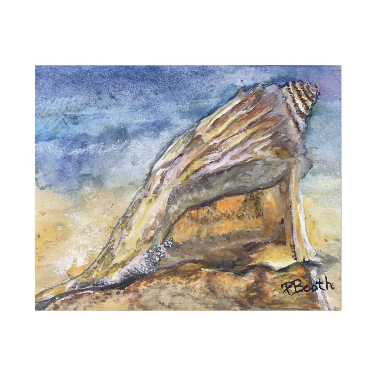 Original Signed Watercolor Conch Shell Classic Stretched Canvas