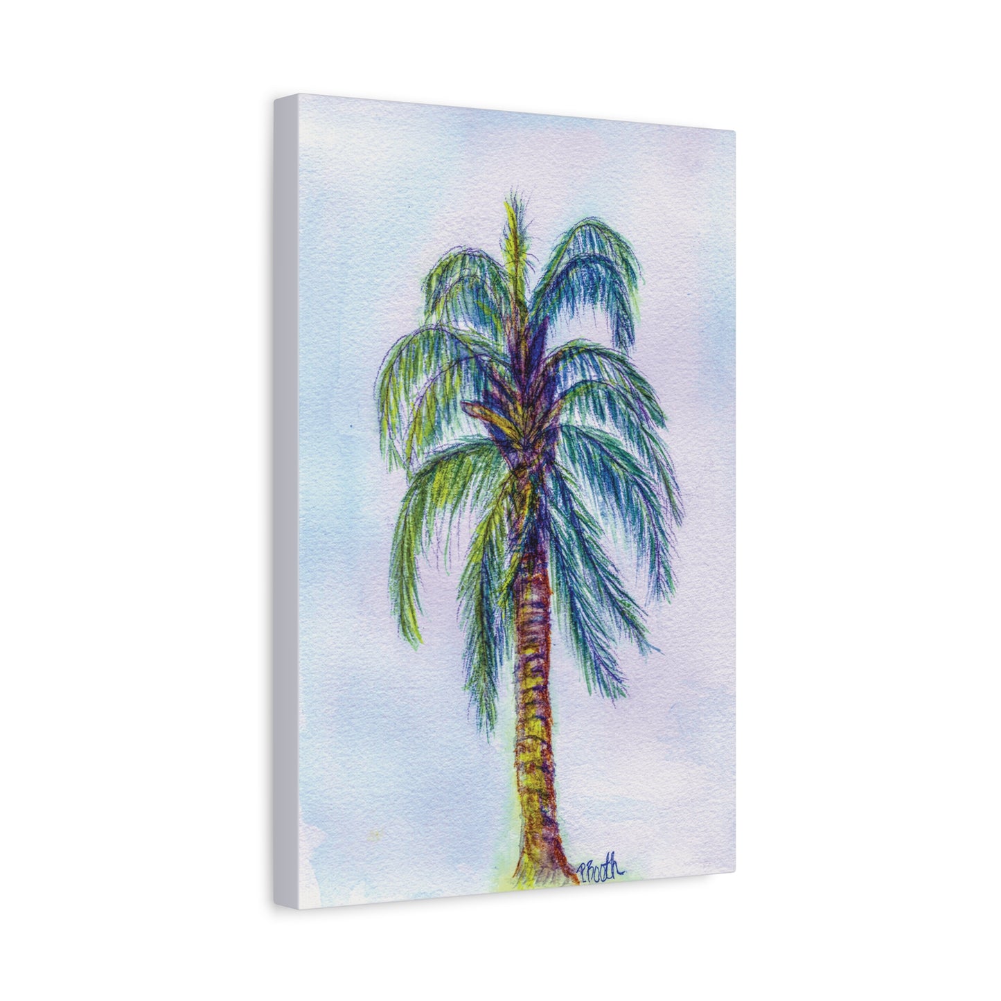 Hand Painted Watercolor Queen Palm Signed Matte Canvas, Stretched, 1.25"