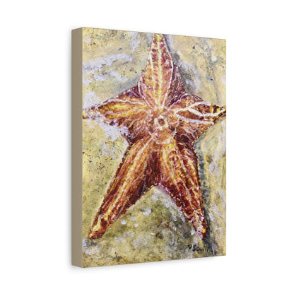 Hand Painted Watercolor Original Starfish Signed Matte Canvas, Stretched, 1.25"