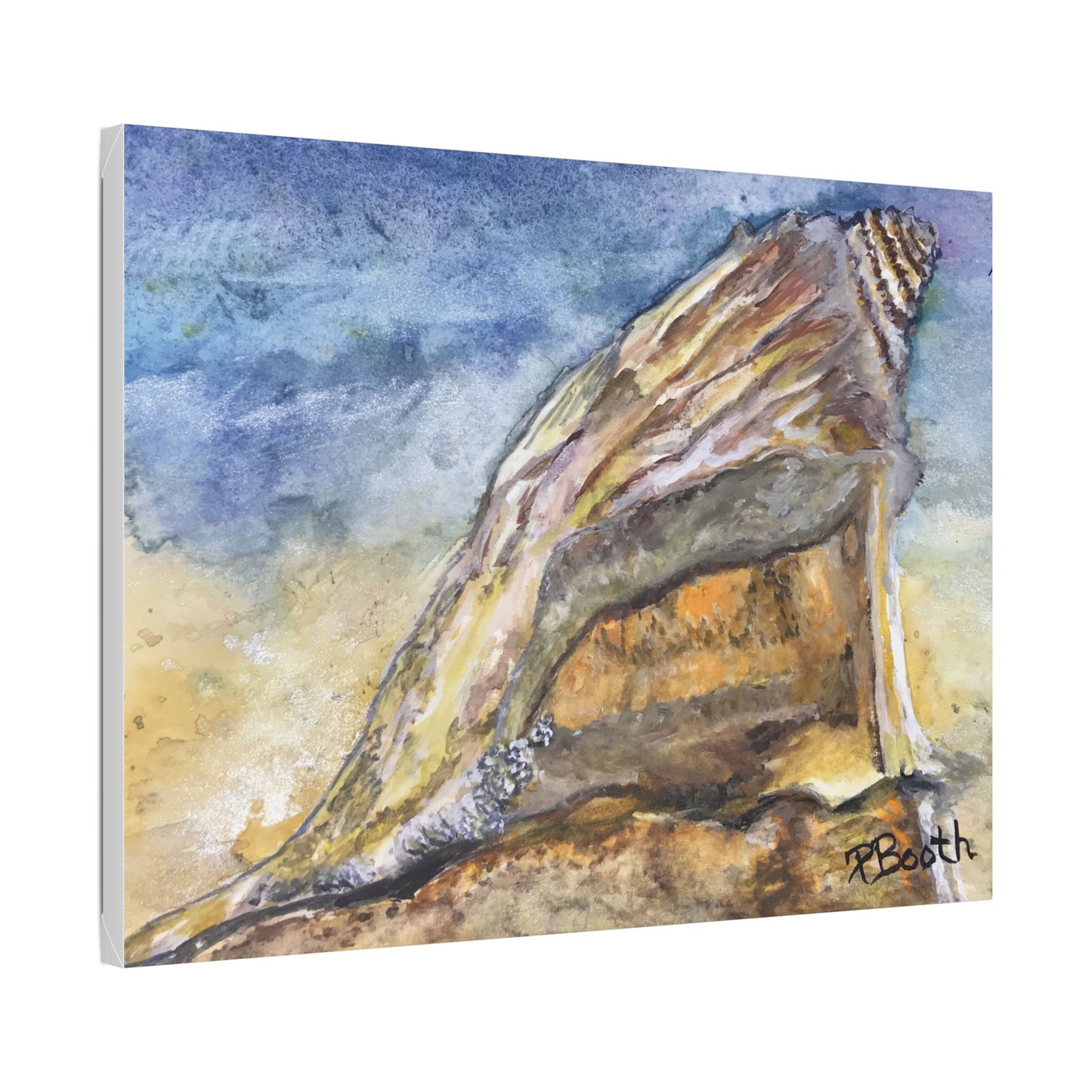 Original Signed Watercolor Conch Shell Classic Stretched Canvas