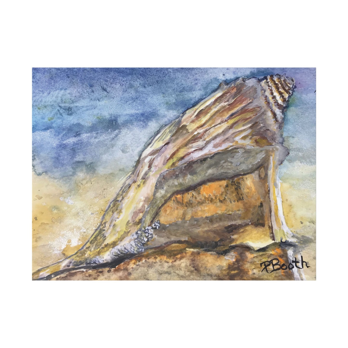 Original Signed Watercolor Conch Shell Classic Stretched Canvas