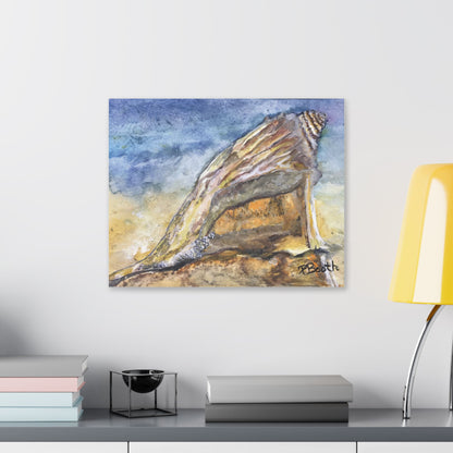 Original Signed Watercolor Conch Shell Classic Stretched Canvas