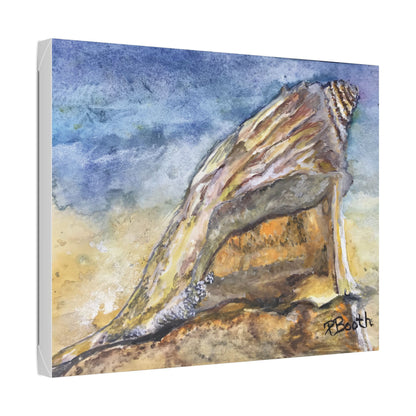 Original Signed Watercolor Conch Shell Classic Stretched Canvas