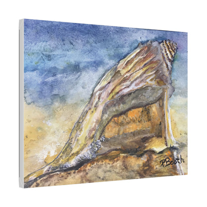 Original Signed Watercolor Conch Shell Classic Stretched Canvas