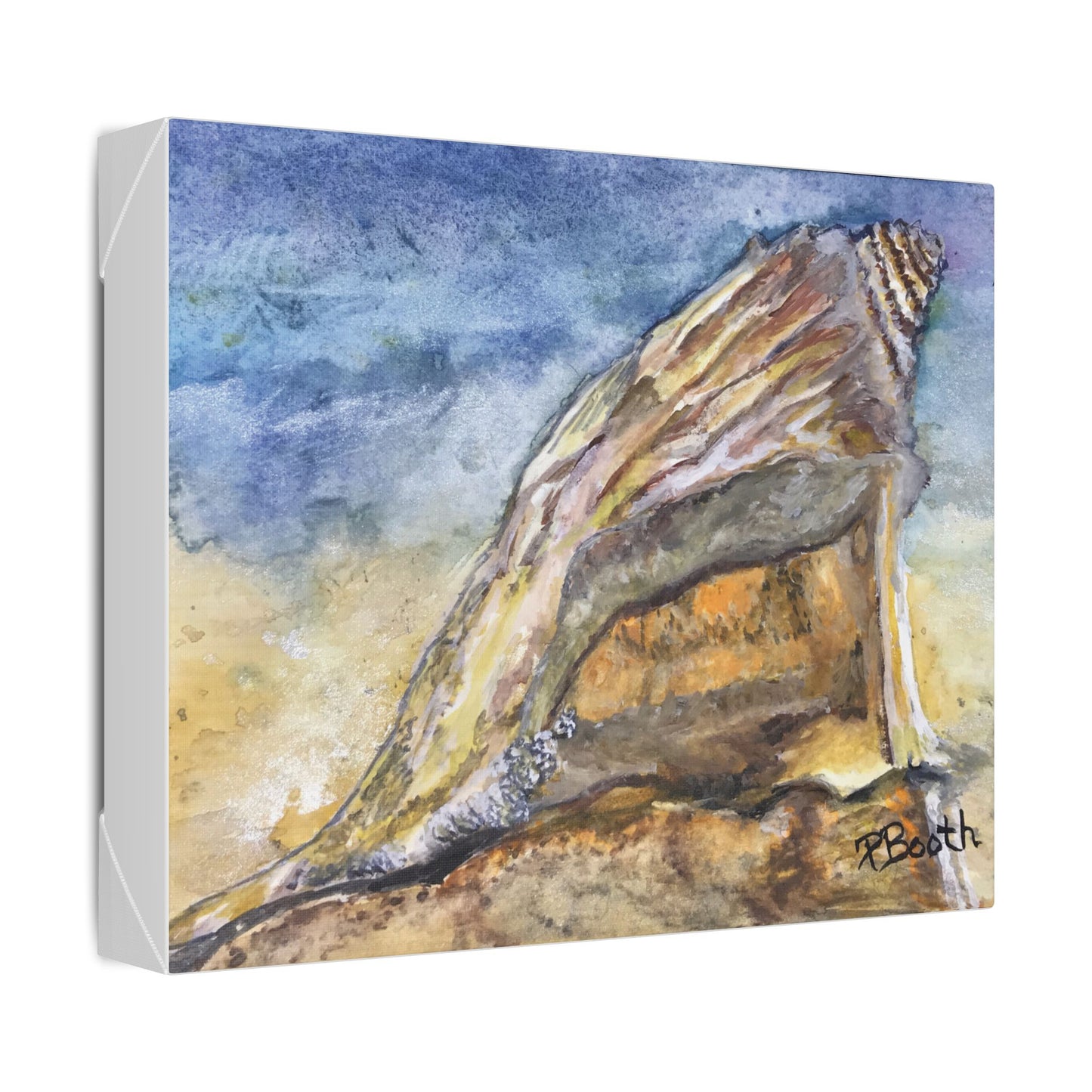 Original Signed Watercolor Conch Shell Classic Stretched Canvas