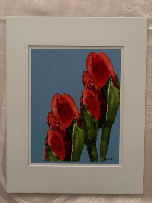 Amaryllis Art Print