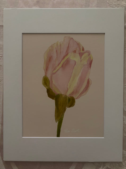 Peace Rose Art Print