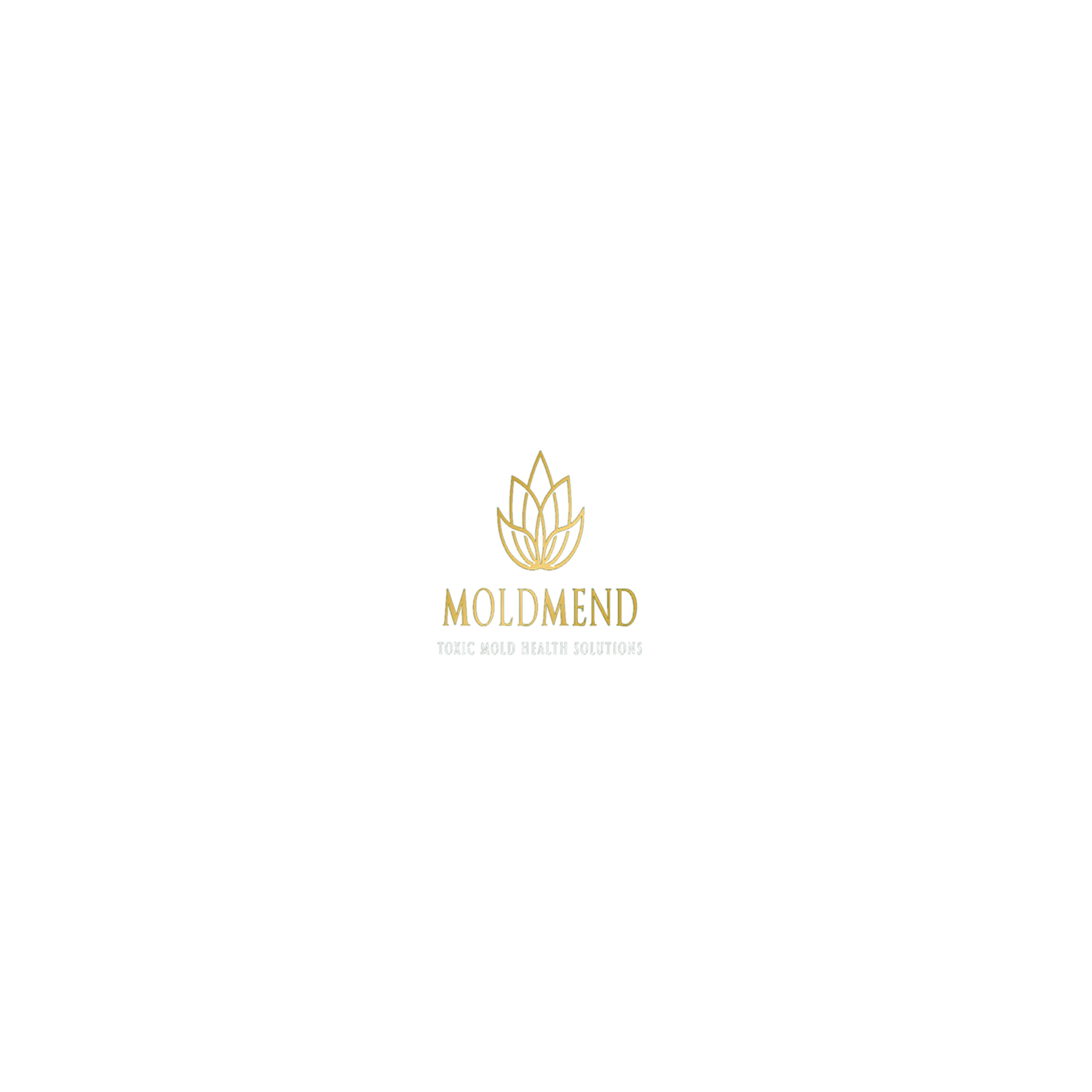 MOLDMEND Next Level V Neck 1540 Replaces 6640