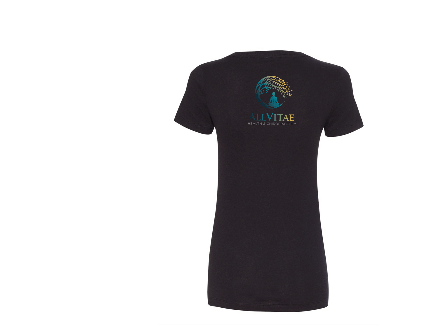 Allvitae Next Level V Neck 1540 Replaces 6640 American Flag added to Right Sleeve