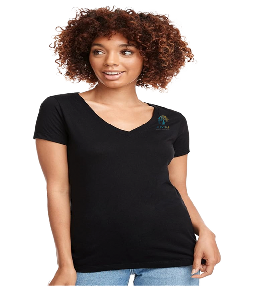 Allvitae V Neck Next Level 6640