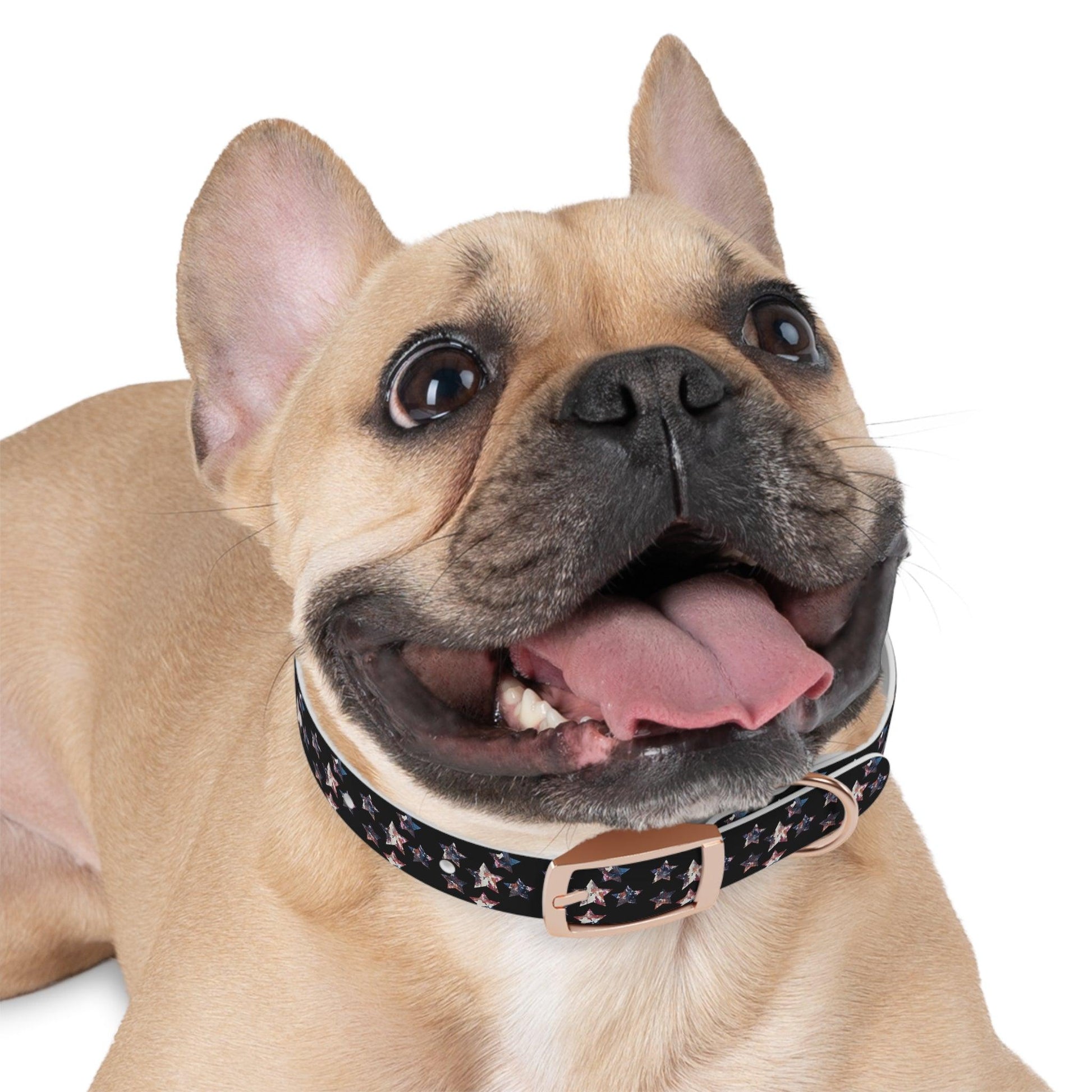 Miniaday Designs Dog Collar Black Americana - Miniaday Designs, LLC.