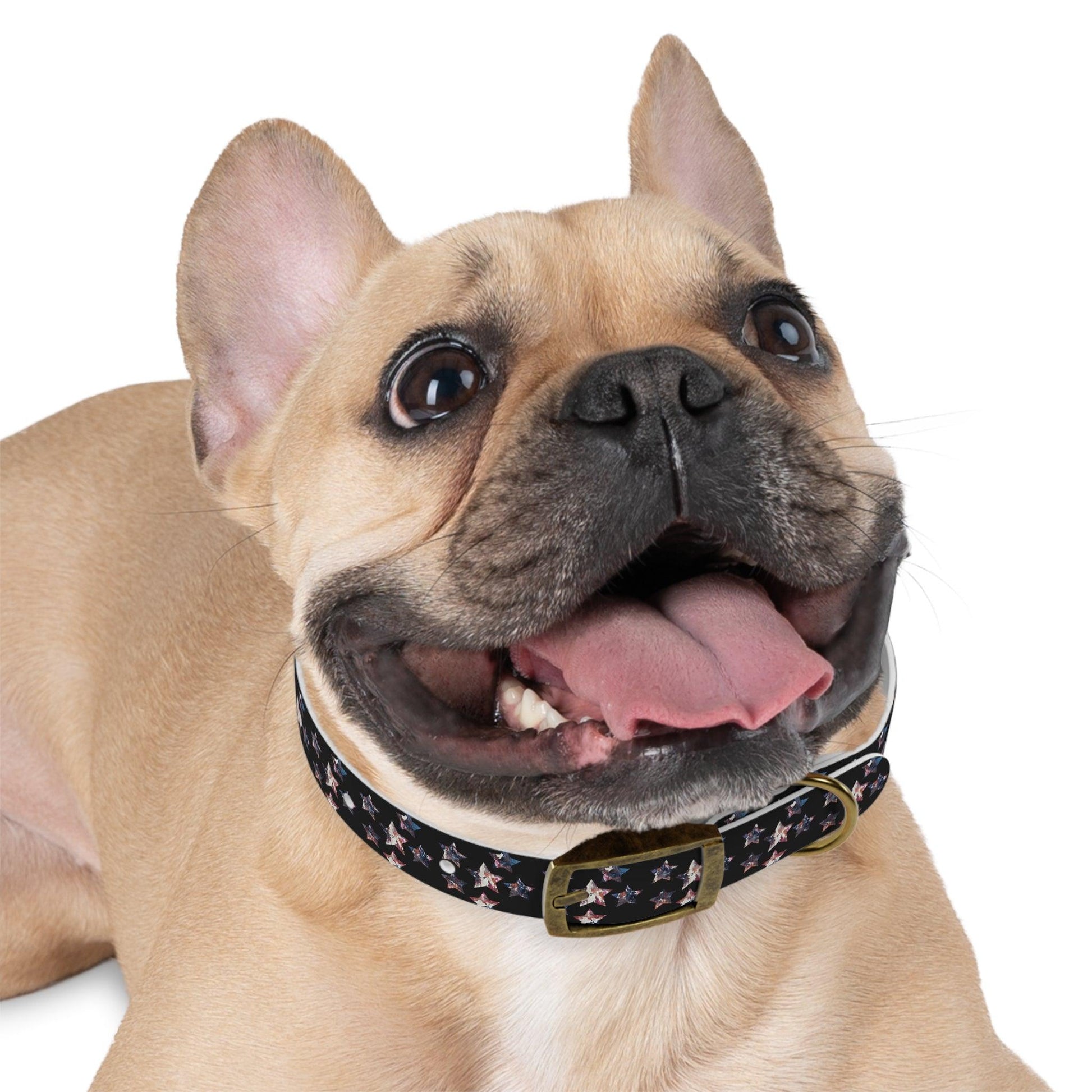 Miniaday Designs Dog Collar Black Americana - Miniaday Designs, LLC.
