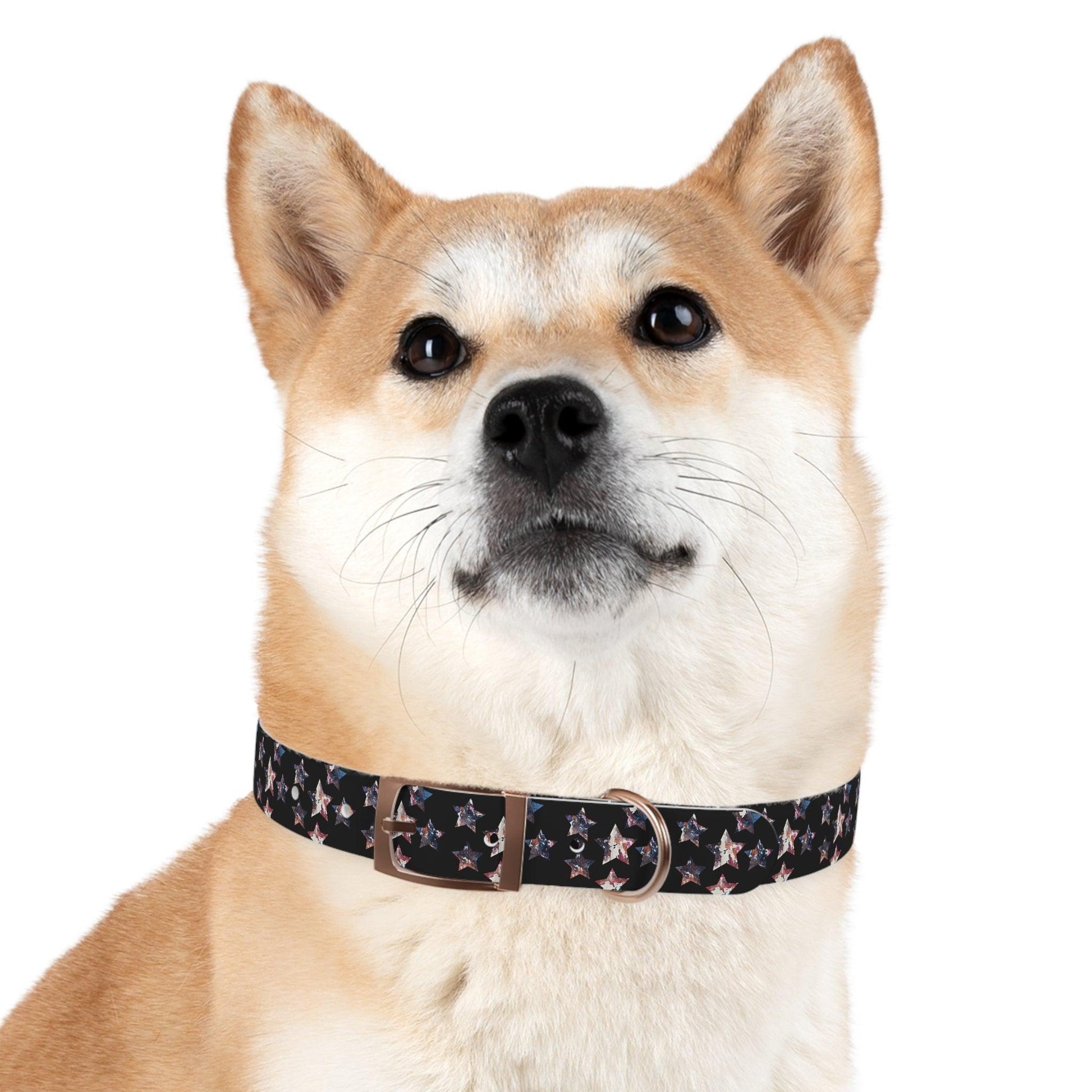 Miniaday Designs Dog Collar Black Americana - Miniaday Designs, LLC.