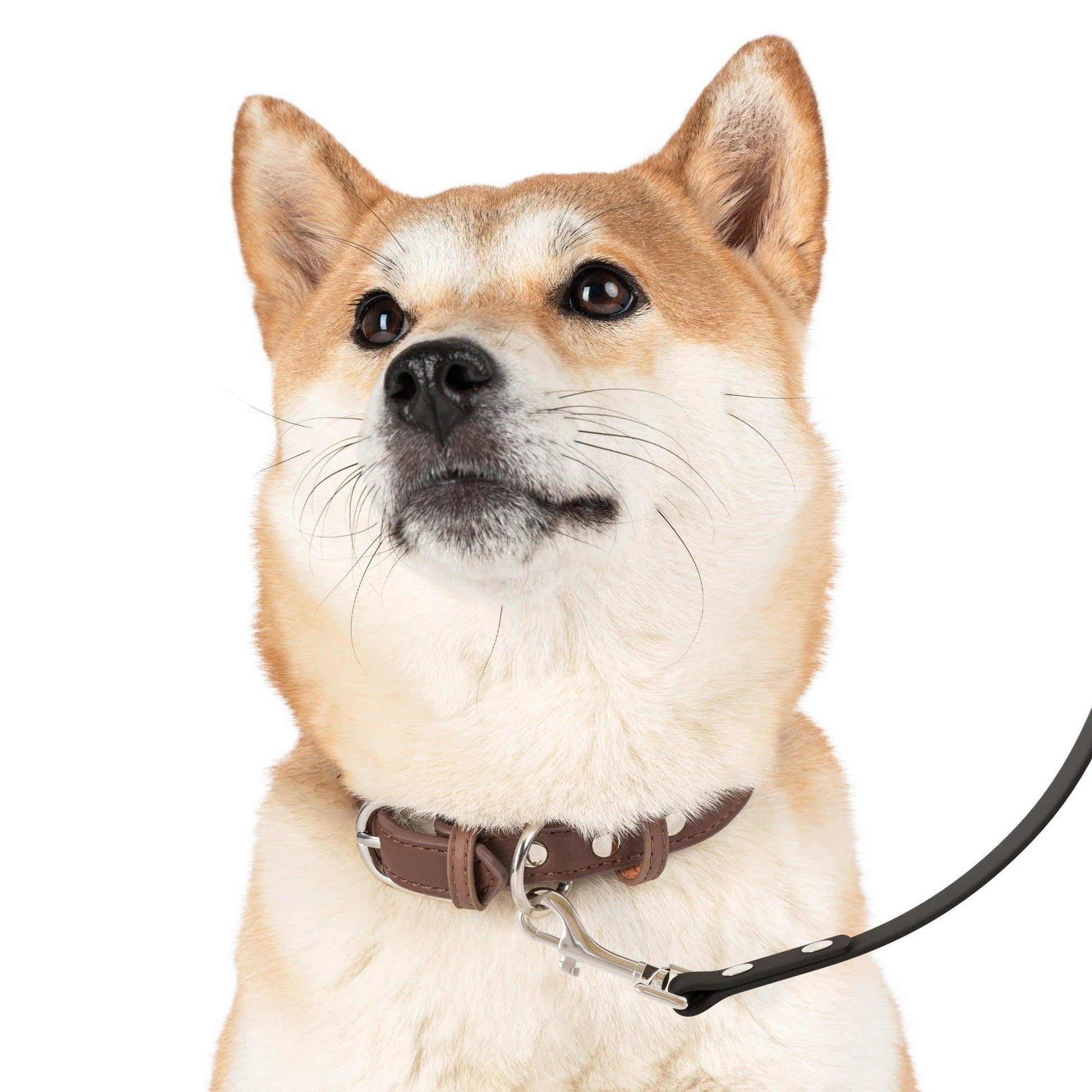 Miniaday Designs Dog Leash Black Americana - Miniaday Designs, LLC.