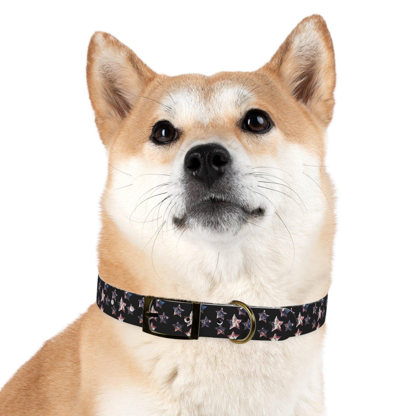Miniaday Designs Dog Collar Black Americana - Miniaday Designs, LLC.