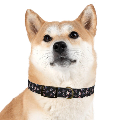 Miniaday Designs Dog Collar Black Americana - Miniaday Designs, LLC.