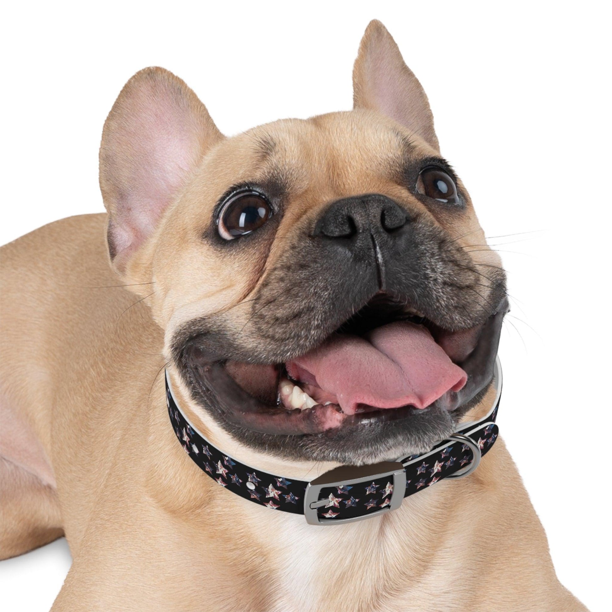 Miniaday Designs Dog Collar Black Americana - Miniaday Designs, LLC.